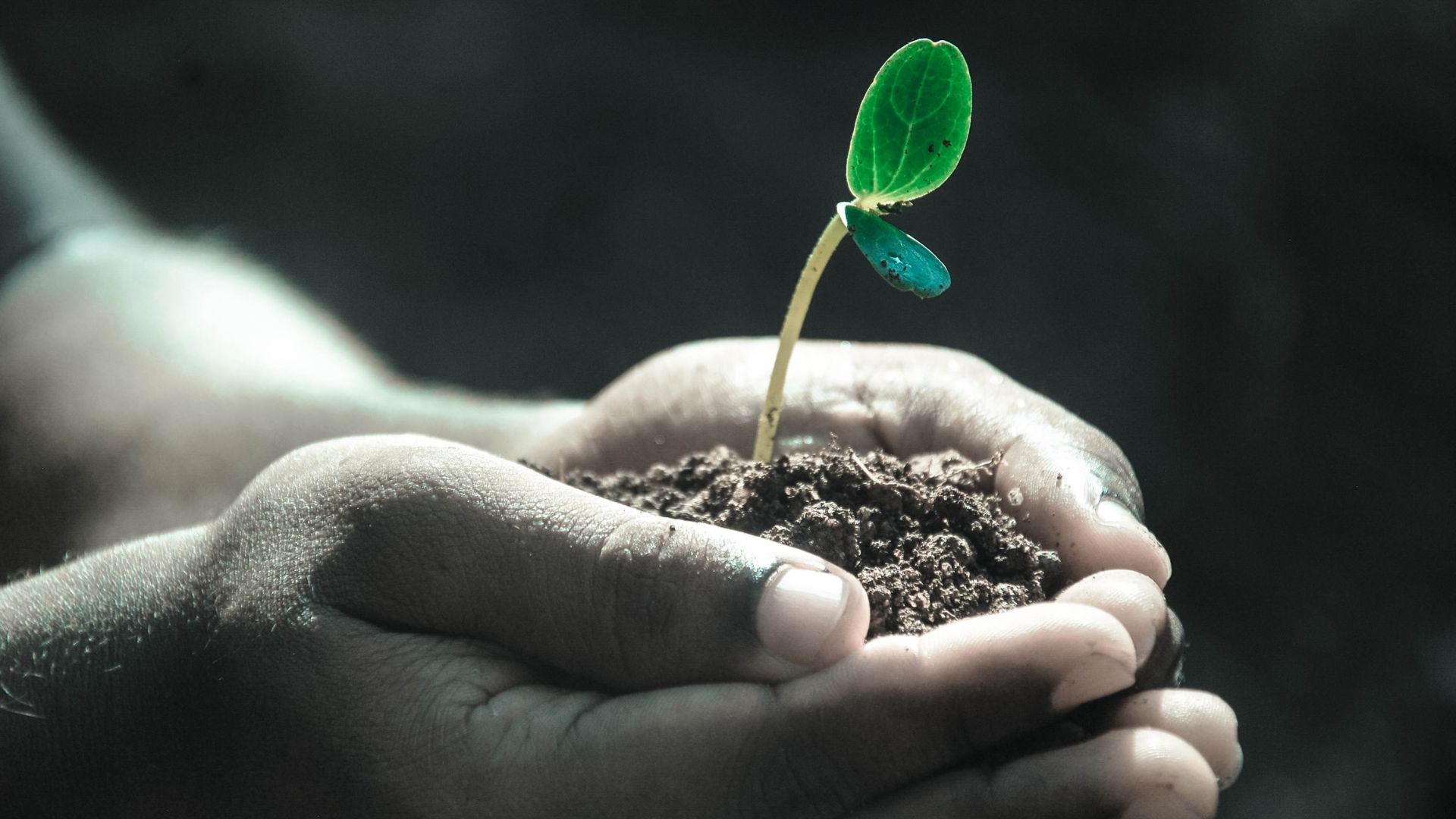 The Somerset residents are growing Seeds of Hope at Light and Hope Nursery School